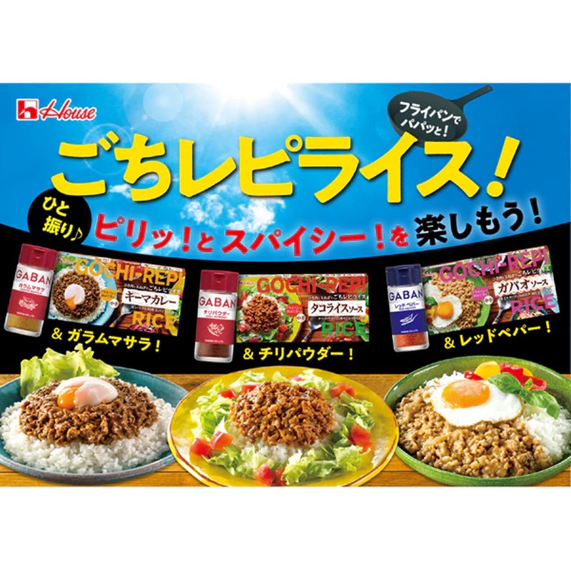 House Foods Gochi Recipe 咖喱饭 肉末咖喱 145g