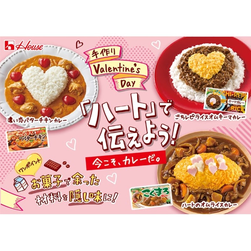 House Foods Gochi Recipe 咖喱饭 肉末咖喱 145g
