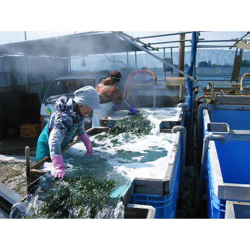 Yaohide Sea Naruto Thread Wakame Seaweed 10g