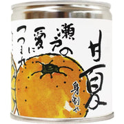 BEMAC爱媛甘夏蜜柑糖浆295克