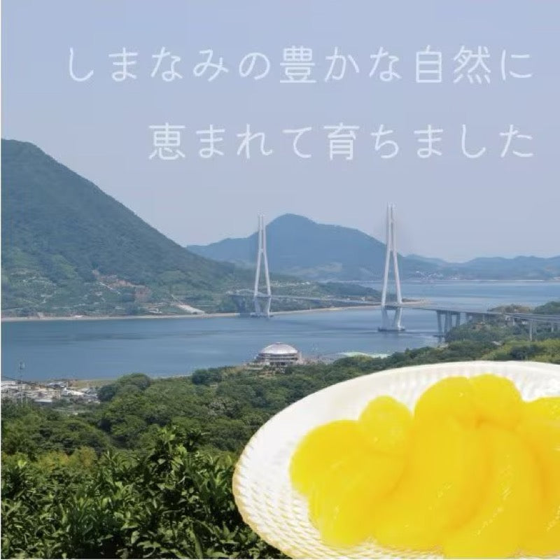 BEMAC Shimanami Hassaku Orange in Syrup 295g