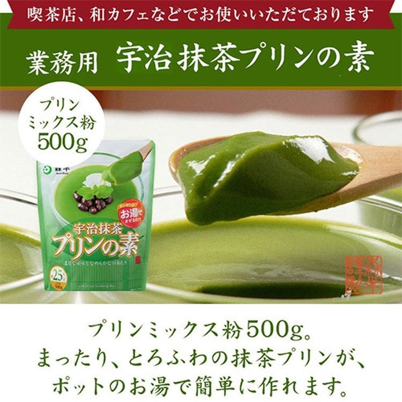 Morihan Matcha Pudding Base 500g [Powdered Tea]