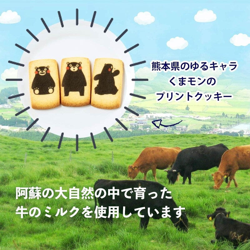 Kumamoto Souvenir] Kimura Kumamon Kuma Time Cookies 15 pieces