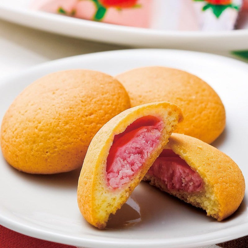 Hogaya Fukuoka Souvenir Amaou Strawberry Chocolate Cookies (20