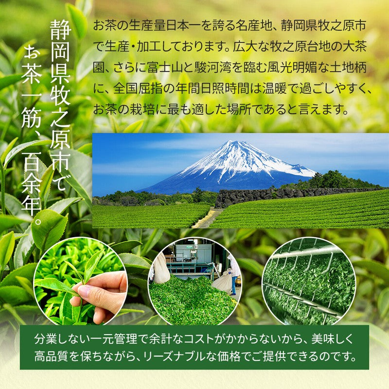 Mizutama Farm Tea Factory's Deep-Steamed Rich Tea with Matcha, Fuwaama Blend, 2.5g x 100 bags