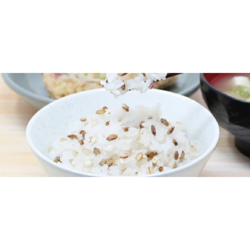 Best Amenity Mochibarley Fiber Blend 8-Set