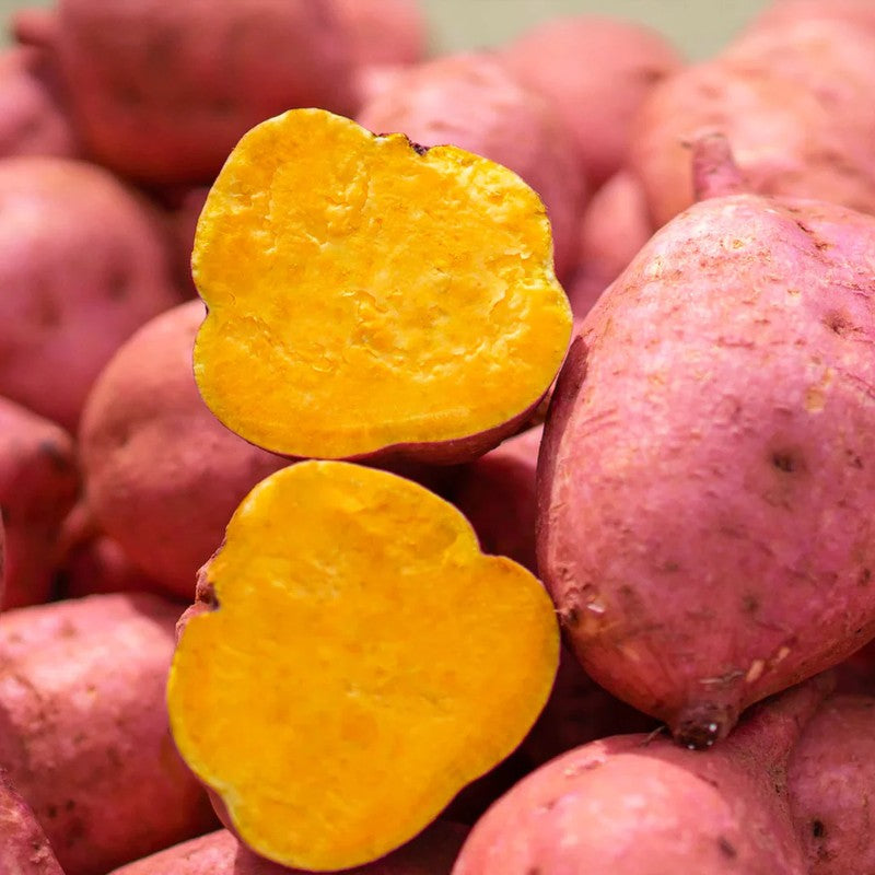 TANECO Dekobo Anno Sweet Potato Roasted and Dried Sweet Potato 20g