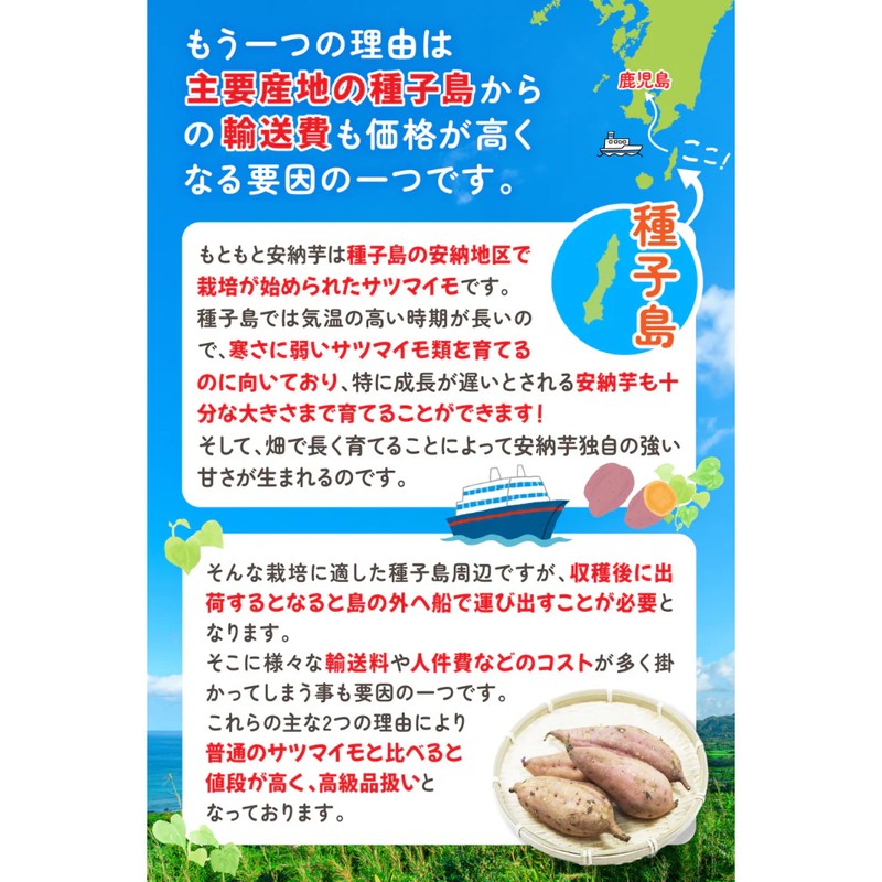 LifeAvail Co., Ltd. Refcoco Tanegashima Annou Sweet Potato Chips, 60g