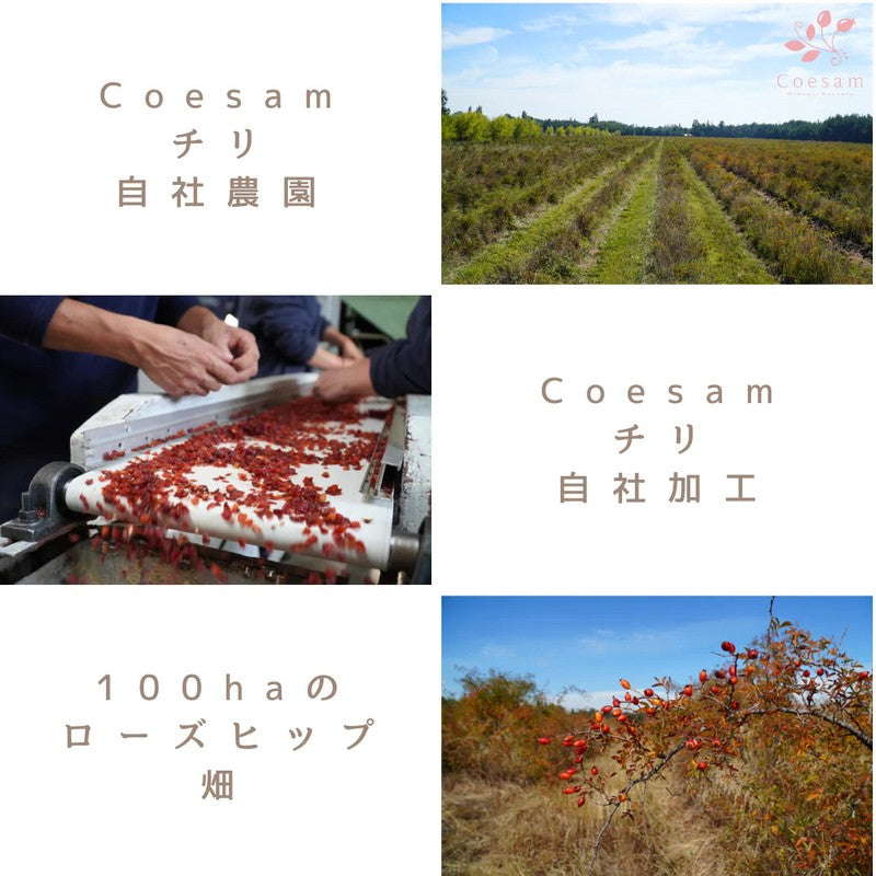Koesam Japan Co., Ltd. Caffeine-Free Rose Hip Tea 80g