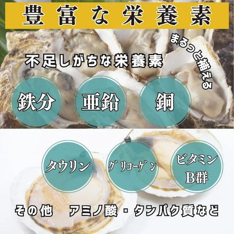 NATURAL OCEAN UMAMI Powder Oyster and Scallop Packet Type 25g