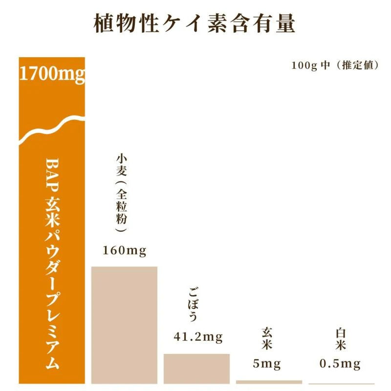 Shokuken Co., Ltd. Brown Rice Powder Premium 100g