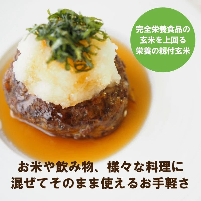 Shokuken Co., Ltd. Brown Rice Powder Premium 100g