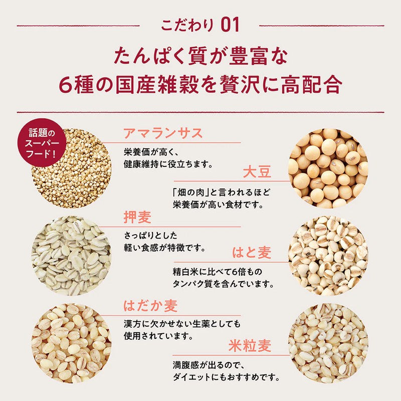 Anfa Corporation HOMTECH Hagukumu White Grains 300g