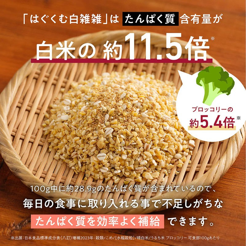 Anfa Corporation HOMTECH Hagukumu White Grains 300g