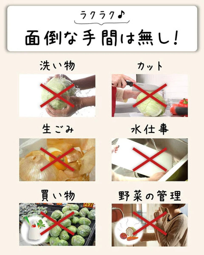 LifeAvail Co., Ltd. Rif Kobo 5 Kinds of Dried Vegetables, Specializing in Kyushu Vegetables and Shiitake Mushrooms, 50g