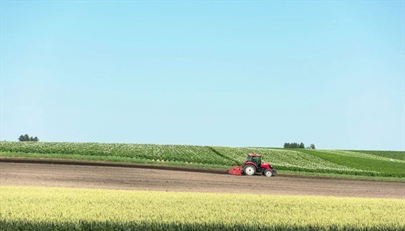 [Large Quantity] Hokkaido Onion Soup (24 packets)