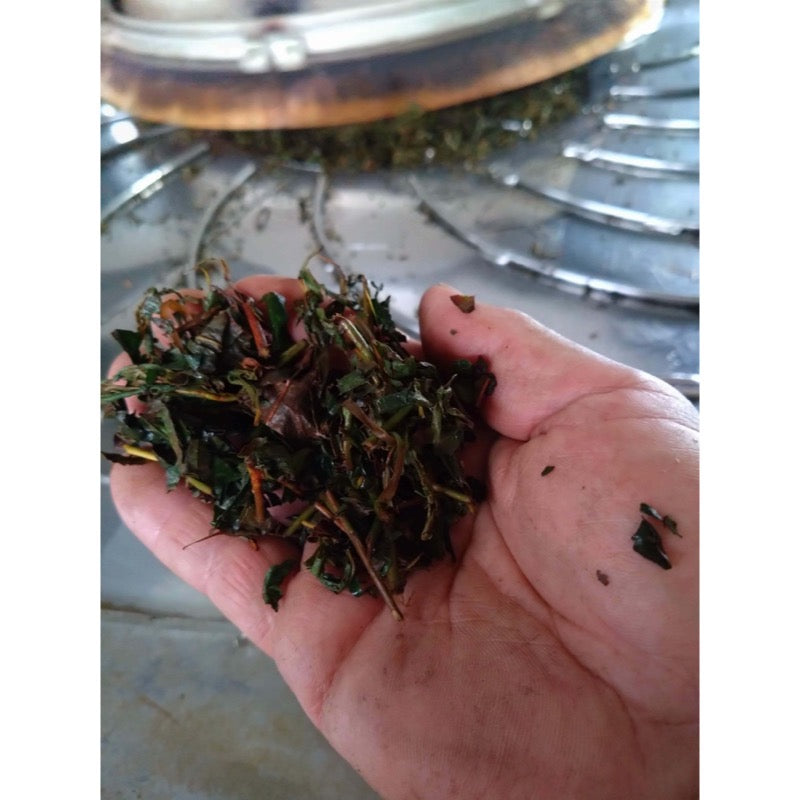 海田園黑坂製茶美作紅茶