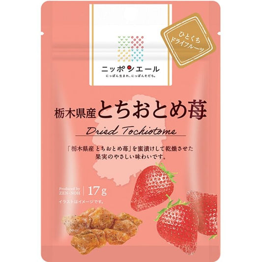 JA Zen-Noh Nippon Ale Tochiotome Strawberry from Tochigi Prefecture Bite Dried Fruit 17g