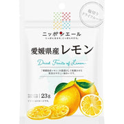 JA 全能日本汽水 愛媛郡檸檬片乾果 23g