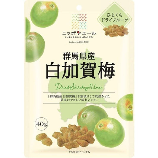 JA Zennoh Nippon Ale Gunma Prefecture Shirakagaume Bite Dried Fruit 40g (Middle Bag)